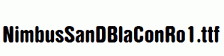 NimbusSanDBlaConRo1.ttf