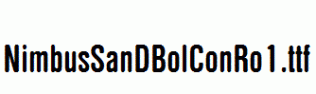 NimbusSanDBolConRo1.ttf