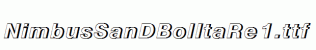 NimbusSanDBolItaRe1.ttf