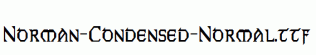 Norman-Condensed-Normal.ttf