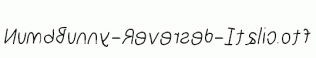NumbBunny-Reversed-Italic.otf