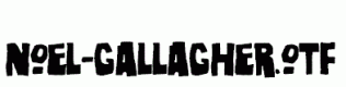 noel-gallagher.otf