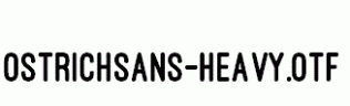 OstrichSans-Heavy.otf