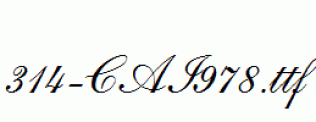 fonts 314-CAI978.ttf