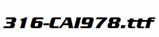 fonts 316-CAI978.ttf