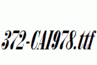 fonts 372-CAI978.ttf