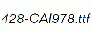 fonts 428-CAI978.ttf