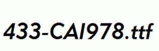 fonts 433-CAI978.ttf