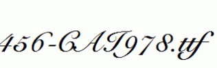 fonts 456-CAI978.ttf
