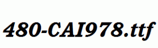 fonts 480-CAI978.ttf