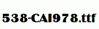 fonts 538-CAI978.ttf