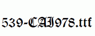 fonts 539-CAI978.ttf