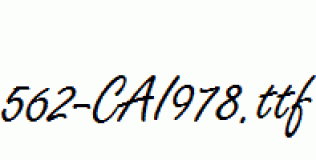 fonts 562-CAI978.ttf
