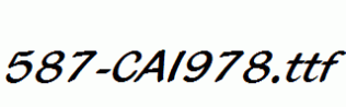 fonts 587-CAI978.ttf
