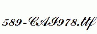 fonts 589-CAI978.ttf