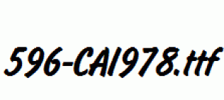 fonts 596-CAI978.ttf