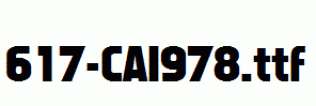 fonts 617-CAI978.ttf