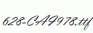 fonts 628-CAI978.ttf