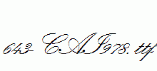 fonts 643-CAI978.ttf