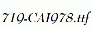 fonts 719-CAI978.ttf