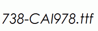 fonts 738-CAI978.ttf