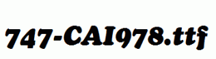 fonts 747-CAI978.ttf