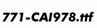 fonts 771-CAI978.ttf