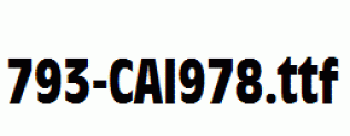 fonts 793-CAI978.ttf
