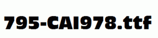 fonts 795-CAI978.ttf