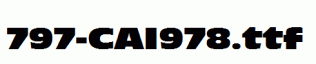 fonts 797-CAI978.ttf