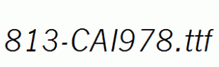 fonts 813-CAI978.ttf