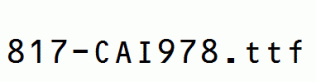 fonts 817-CAI978.ttf
