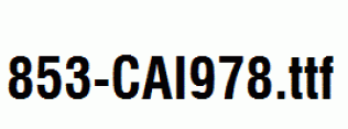 fonts 853-CAI978.ttf