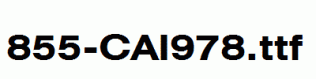 fonts 855-CAI978.ttf