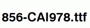 fonts 856-CAI978.ttf