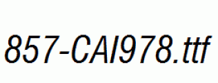 fonts 857-CAI978.ttf