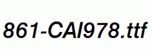 fonts 861-CAI978.ttf