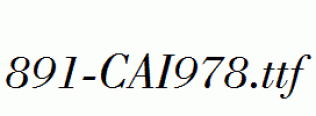 fonts 891-CAI978.ttf