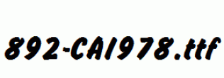 fonts 892-CAI978.ttf