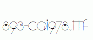 fonts 893-CAI978.ttf