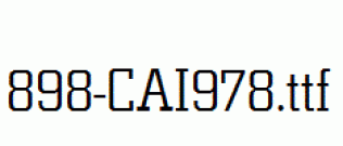 fonts 898-CAI978.ttf