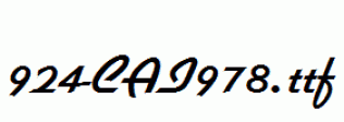 fonts 924-CAI978.ttf