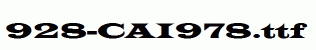 fonts 928-CAI978.ttf