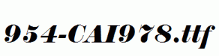fonts 954-CAI978.ttf
