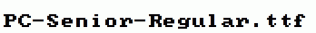 PC-Senior-Regular.ttf