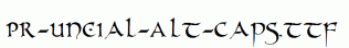 PR-Uncial-Alt-Caps.ttf