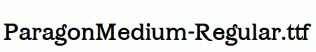 ParagonMedium-Regular.ttf