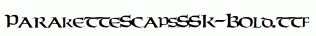 ParaketteScapsSSK-Bold.ttf