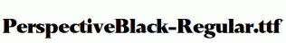 PerspectiveBlack-Regular.ttf