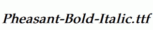 Pheasant-Bold-Italic.ttf